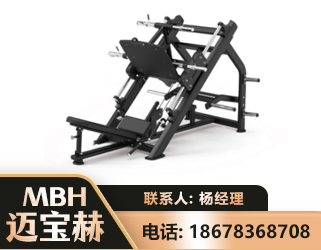 沈阳45°倒蹬训练器