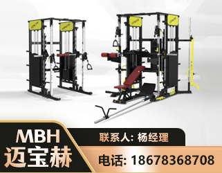 沈阳多功能综合训练器