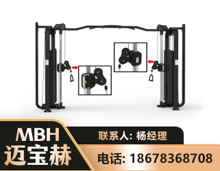 沈阳大飞鸟训练器