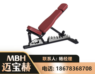 沈阳可调哑铃椅