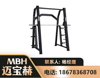 沈阳史密斯机